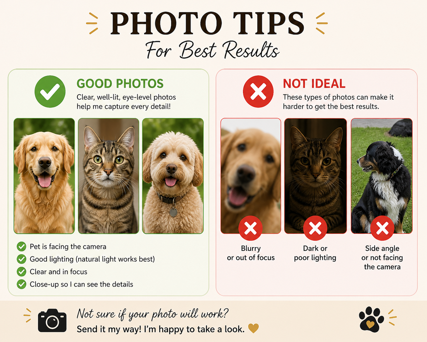 *Digital* Funny Custom Pet Portraits  (Sports Fan)